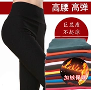 Xia Gao thun cộng với quần lửng nữ chất béo nhung quần mẹ mỏng và béo mm mặc Slim size lớn cho nữ mùa xuân và mùa thu