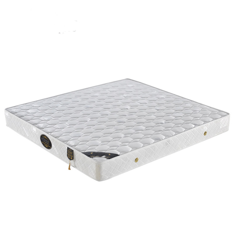 3E coconut palm mattress 1 5m 1 8 m mattress spring coconut palm mattress mat Dream of bed cushion 22cm cm thick