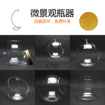 Gardening thick high quality transparent flat bottom hanging bottle spherical Bevel Moss micro landscape glass vase fleshy utensils