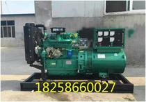 Shandong Weifang 30KW diesel generator 30KW full copper Brush Motor start battery