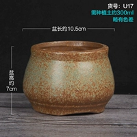U17