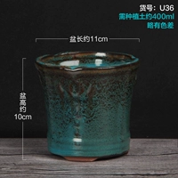 U36