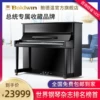 Товары от BALDWIN鲍德温乐器旗舰店