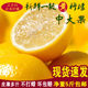 Anyue yellow lemon fresh first-grade fruit 5Jin [Jin is equal to 0.5kg] medium large fruit juicy unwaxed Sichuan lemon damage guarantee