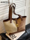Large-Capacity Bag for Women 2026 New Style Super Popular Light Luxury Niche Shoulder Bag High-Quality Texture Work Commute Tote Bag