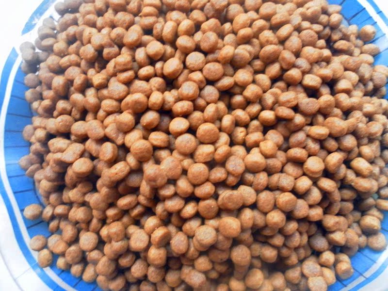 500g số lượng lớn chó con chó con thức ăn cho chó Teddy VIP Golden Hair Bomei Samoyed dog chủ yếu thực phẩm Bán buôn hạt cho poodle