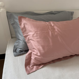 好货捡漏！外贸尾单100支匹马棉枕套全棉纯棉简约纯色飞边一对装