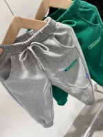 Серый (три дня до положения)