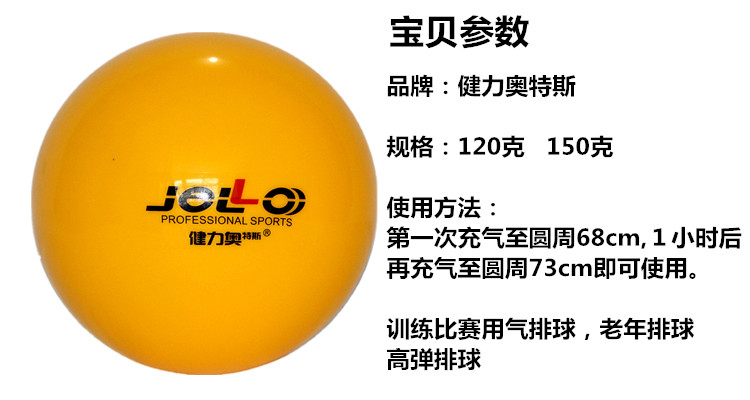 Ballon de volley - Ref 2009940 Image 4