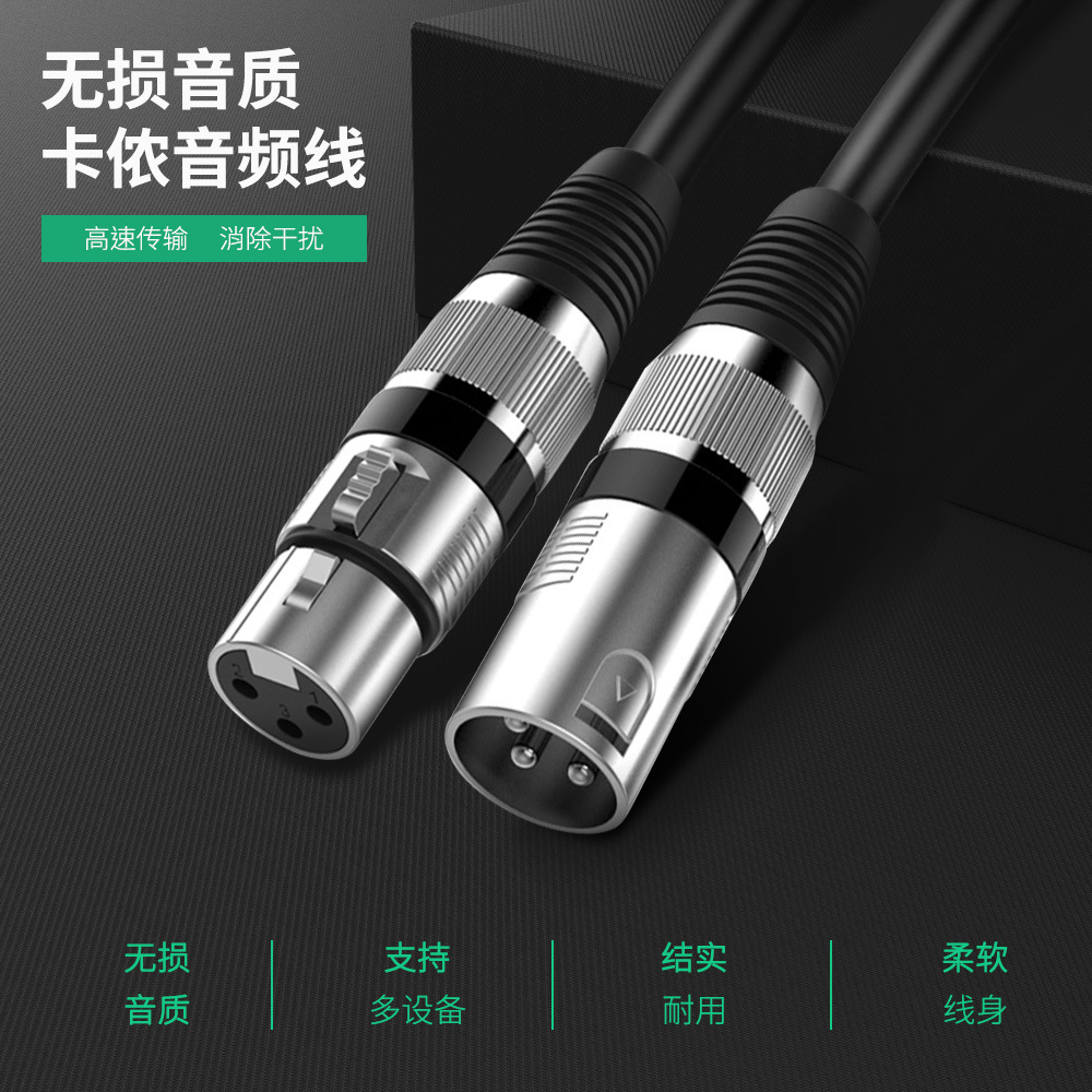 Canon Line Camera Microphone Audio Line Cannon Notre Dame Extension Line Rod NTG2 3 4 4 5 Microphones Sen Haisel 416 MKE600 Caron Line High Fidelity