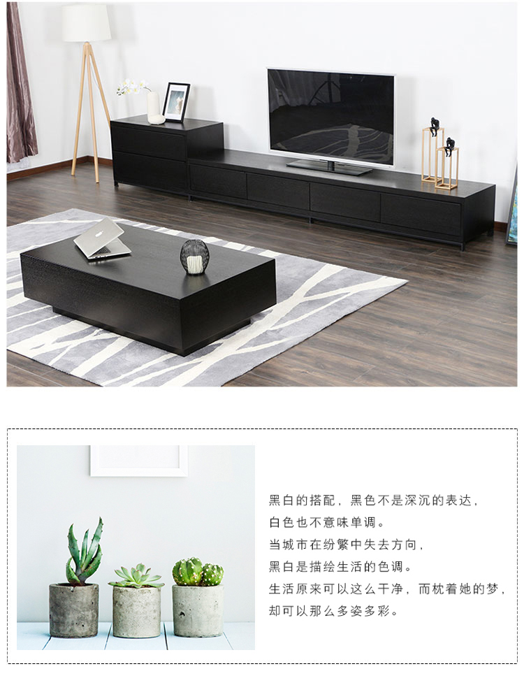 Bắc Âu hiện đại tối giản hình chữ nhật màu đen tủ TV kết hợp bàn cà phê căn hộ nhỏ phòng khách sáng tạo nội thất tùy chỉnh - Bàn trà bàn tròn sofa