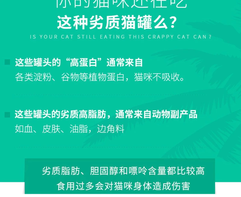 Tiki cat Thức ăn chủ yếu nhập khẩu Thái Lan đóng hộp cho mèo vỗ béo lông mang thức ăn ướt cho mèo 85g * 10 tặng 2 - Đồ ăn nhẹ cho mèo