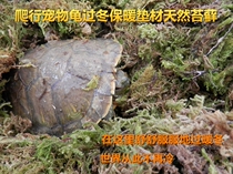 Crawling Pet Tortoise Lizard Dormant overwintering Natural materials Ye brick Ye soil Moss Humidifying warm pad Material Special offer