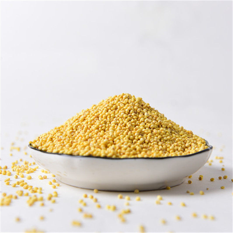 Yimongshan Self Yellowen Yang Yang Yang Yang Yang Rice A Kyu Yang Rice Vacuum loaded with New Yang Yang Rice