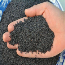 Black Sesame Yimeng Mountain Black Sesame Black Sesame One Jin of Cereals