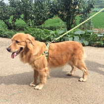 Pet dog dog supplies leash strap chest strap dog vest medium-sized large dog Labrador golden poodle