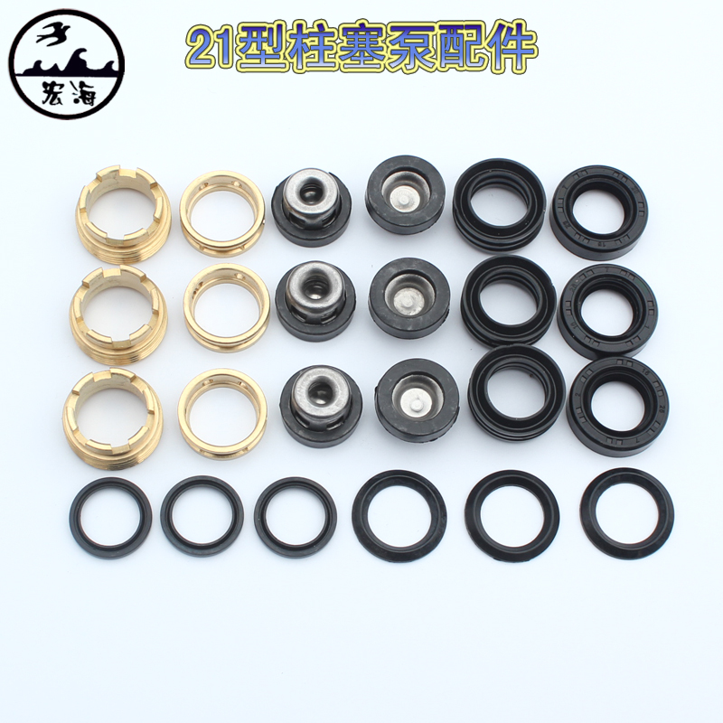 Triple Cylinder Plunger Pump 21 Model Valve Plunger Leather Bowl Flat Cushion Oil Seal Gland Oil Ring Dosing Machine Accessories-Taobao