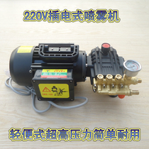 High-pressure sprayer Agricultural 220V electric medicine machine Plug-in shabu-shabu car wash machine Portable spray disinfection machine