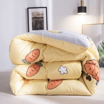 Thickened Warm Winter Student Dormitory Winter Quilt by Core Quilt Air Conditioning Quilt by Double Single printed Aloe Cotton Bedding
