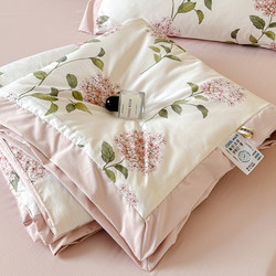 Light Luxury Summer Quilt Four-Piece Set, Washable Tencel Ice Silk, Machine Washable, Single/Double Summer Quilt, Air-Conditioning Quilt, Cool and Thin Quilt