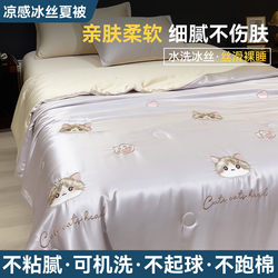 Class a Embroidered Summer Cooling Ice Silk Summer Quilt Four-Piece Set Air-Conditioning Quilt Machine Washable Summer Quilt Single/Double Thin Quilt Core