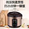 Hemisphere Genuine Rice Cooker for Home Use, Suitable for 2-4 People, Mini Small 3-Liter Multifunctional with Steamer, Traditional Automatic Rice Cooker