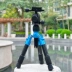 Máy tính để bàn nhỏ tripod neo điện thoại di động bracket micro máy ảnh SLR nhiếp ảnh xách tay tự-thời gian du lịch tripod chân máy ảnh mini Phụ kiện máy ảnh DSLR / đơn