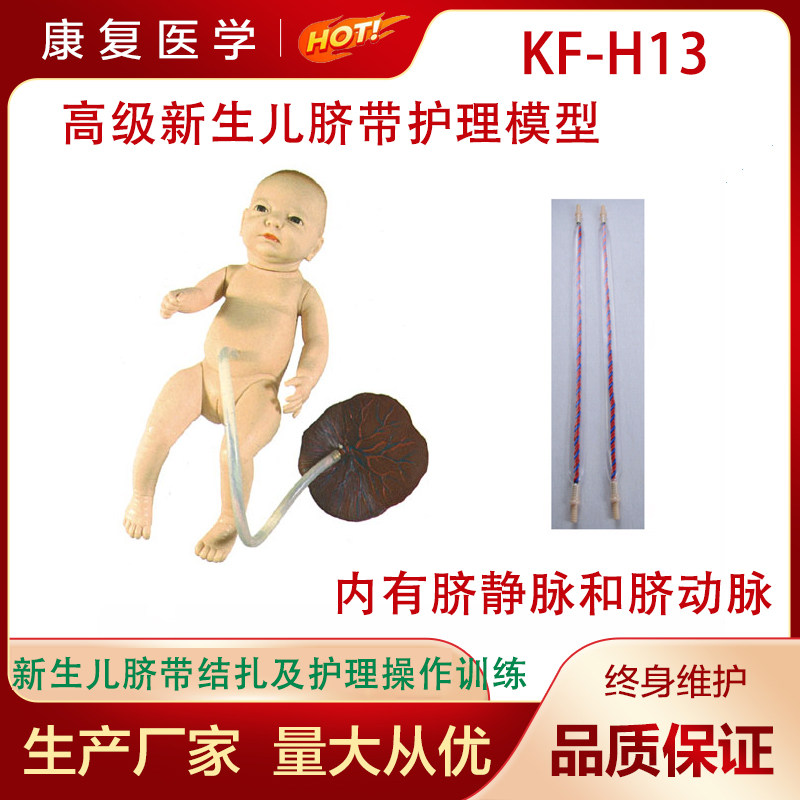 高级新生儿脐带护理模型新生儿脐带结扎及护理操作训练模型H13