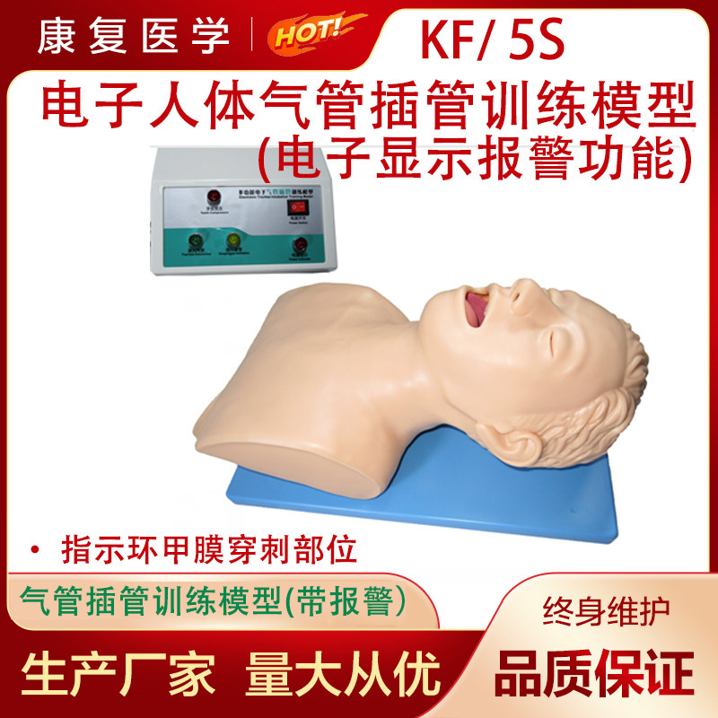 电子人体气管插管训练模型牙齿报警训练人体电子气管插管训练模型