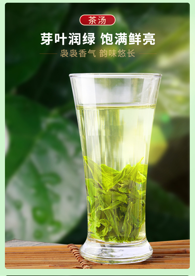 迎客松 高山云雾茶 125g 图9