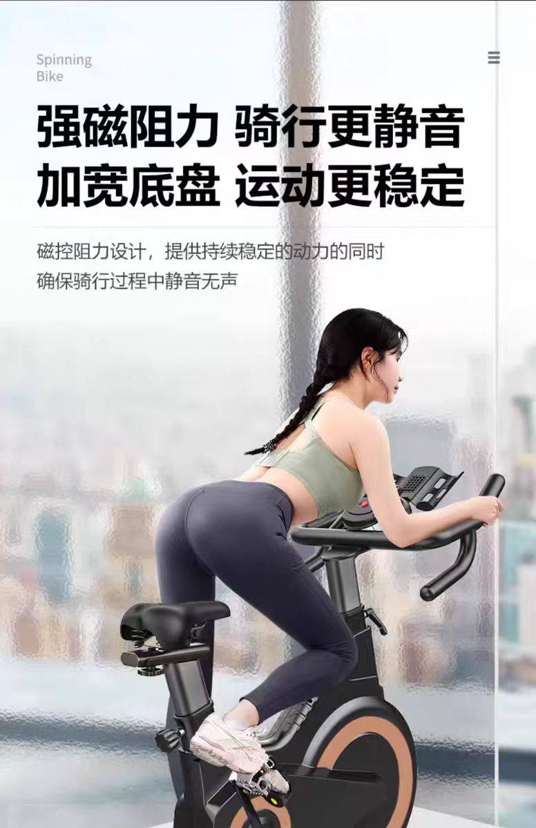 велотренажер 动感单车家用健身器材健身房专用室内运动减肥静音智能动力自行车 Walking the world