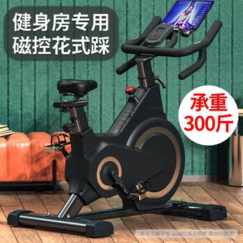 Magnetic silent smart home spinning bike