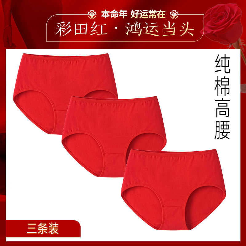 2024 Ladies Big Red Panties Year of the Dragon Year of the Year