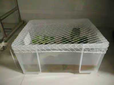 Plastic Case Anti-Hop Mesh Containing Box Mesh Hood Fish Tank Anti-Jump Net Turtle Anti-Escape Nets Fish Tank Mesh Hood