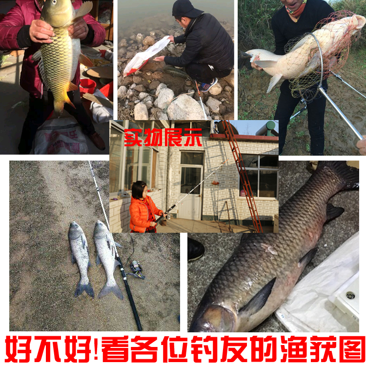 Lei strong anchor Crocodile solid way Asian super hard anchor rod sea pole plug pole hanging fishing rod anchor fish rod pole rod