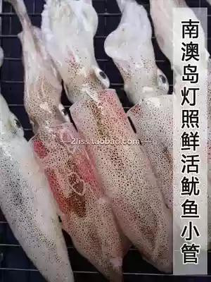 South Australia specialty lamp shines wild fresh squid tube lamp catch small squid tube tough crisp fresh sweet and delicious 2000g