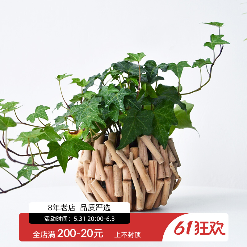 Nordic Creative Wood Dins Small Vase Light Lavish Living-room Table Hem Accessories Minimalist Home Flower Floral