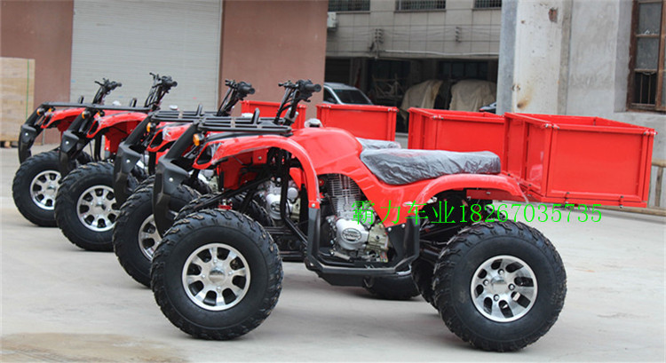 Big bull hộp hàng hóa mới bốn bánh xe địa hình xe đạp địa hình xe đạp địa hình xe máy điện mini