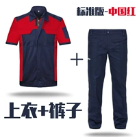 Стандартный издание с коротким рукавом