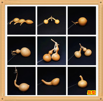 Natural shaped small gourd shaped malformation grass gold ant ant belly Tianjin mouth personality with a picture