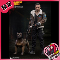 (pick up) DAMTOYS 1 6 gang kingdom black peach 8 SPADE 8 movable human occasionally GK02