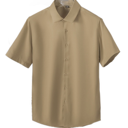 2026 New Ice Silk Short-Sleeved Shirt for Men, High-End Business Casual, No-Iron White Shirt, Summer Light Mature Style Shirt