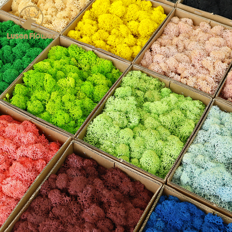 Preserved Flower with Impurity-Free Moss in Small Box DIY Handmade Flower Box Glass Cover Moss Wall Background Board 100g Decoration Preserved Flower with Impurity-Free Moss in Small Box DIY Handmade Flower Box Glass Cover Moss Wall Background Board 100g Decoration