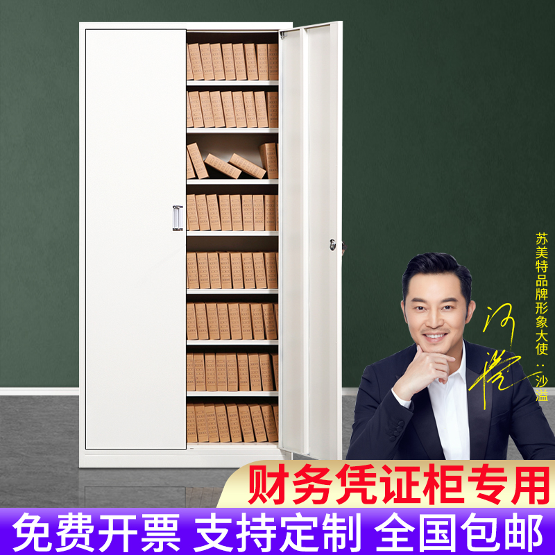 Financial Warrant Cabinet With Lock Iron Sheet Containing Cabinet Office Information File Cabinet Moisture Filing Cabinet Release Cabinet