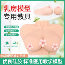 Prolactinator training Soft silicone fake breast housekeeping Technical School hospital teaching breast model teaching aids