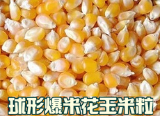 Конструктор "Волшебная кукуруза" Сферические