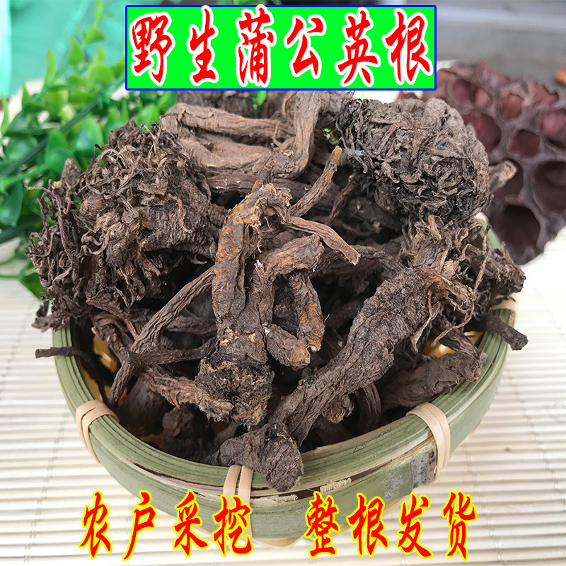 Whole root Northeast Changbai Mountain wild dandelion root dry tea mother-in-law-in-mother-in-the-grade Valley Ding powder Traditional Chinese Medicine Natural 500g