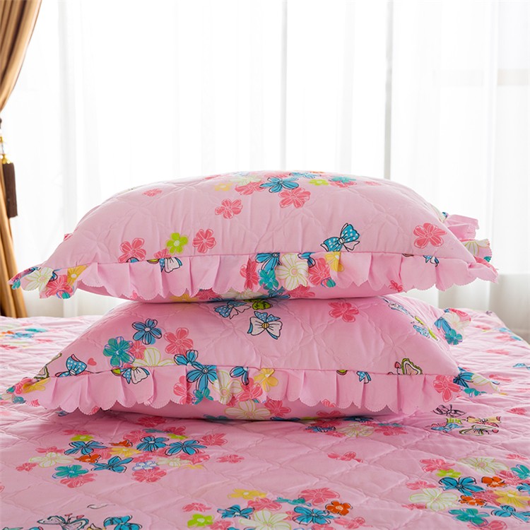 Thư mục dày bông gối cạnh sinh viên Hàn Quốc đơn gối cộng với bông gối bao gồm một cặp 48x74 cm mùa thu - Gối trường hợp gối lông vũ