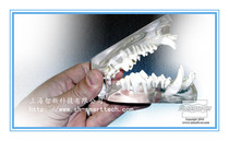 Smooth-on Clear Flex Colorless transparent Polyurethane rubber Toughness Bending