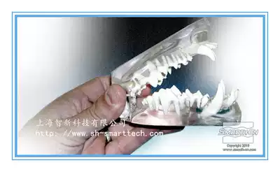 Smooth-on Clear Flex Colorless transparent Polyurethane rubber Toughness Bending